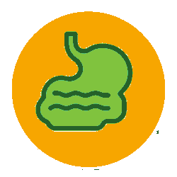 stomach_icon_orange_circle.png__PID:9e22b803-636b-4ca2-b8f8-f91d94dc6a47